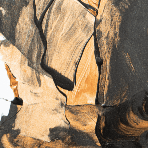 Obra de Roxana Albanese